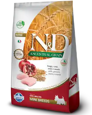 Nd Ancestral Perro Pollo Mini 10.1 Kg