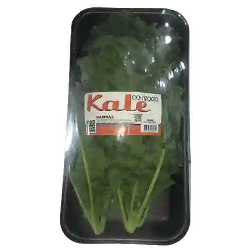 Kale Gourmet Bandeja 200 G