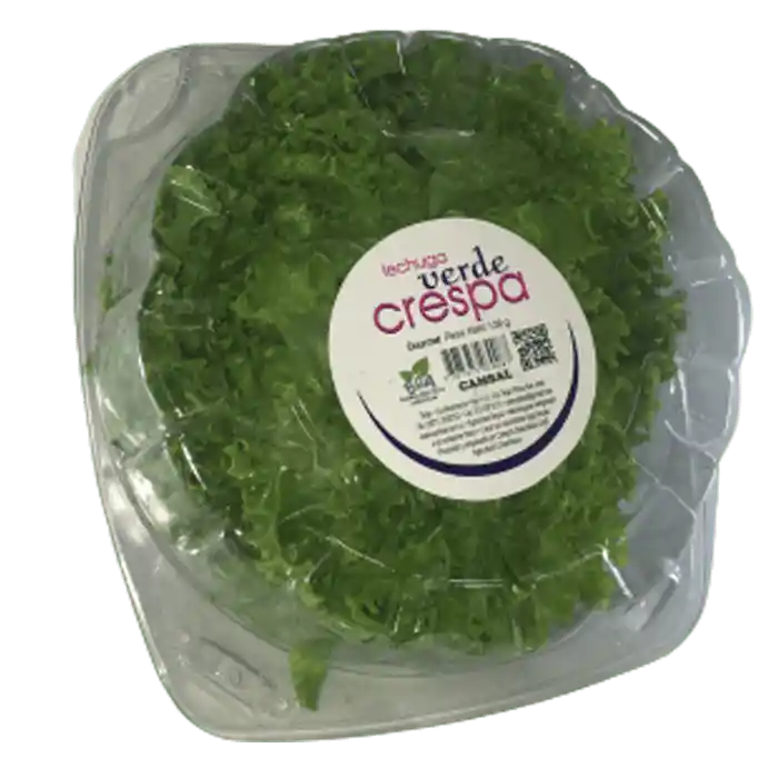 Lechuga Gourmet Crespa Verde 120 G