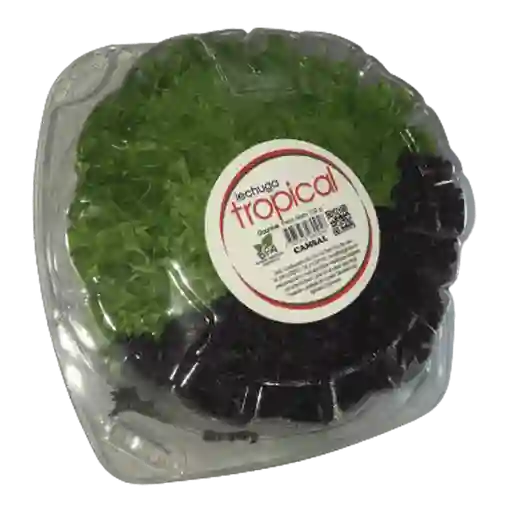 Lechuga Gourmet Tropical 120 G