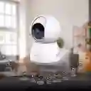 Cámara De Seguridad Inteligente Wifi Ptz Nexxt Indoor Wired