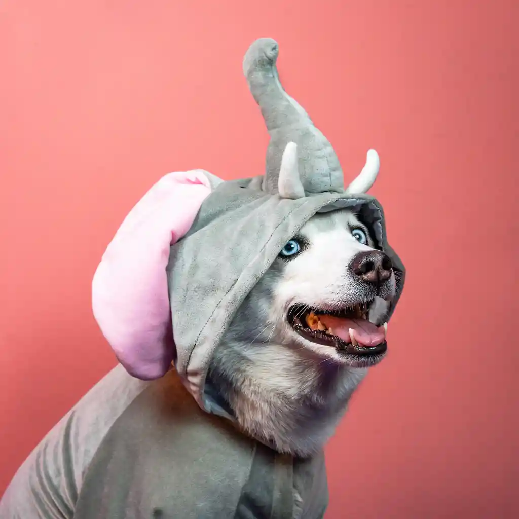 Disfraz M Elefante Halloween