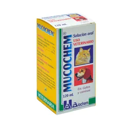 Mucochem Jarabe Frasco 120 Ml