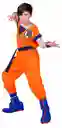 Disfraz Goku Para Niño Estampado X5 Piezas Cosplay Dragon Ball Disfraz Halloween