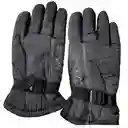 Guantes Termicos Para Moto