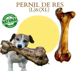 Femur De Res Xl