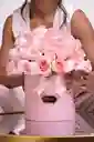 Magia Pink