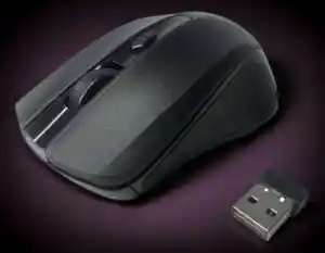 Mouse Óptico Inalámbrico Mini Receptor Dongle Usb 2,4 Ghz