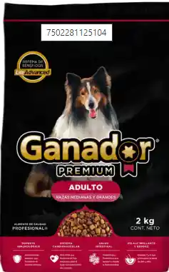 Ganador Premium Adulto Raza M/g X 2kg