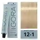 Tinte Igora Royal 12-1 (121) Super Aclarante Ceniza 12 1