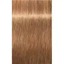Tinte Igora Royal 8-65 (865) Rubio Claro Chocolate Dorado 8 65