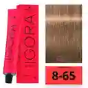 Tinte Igora Royal 8-65 (865) Rubio Claro Chocolate Dorado 8 65