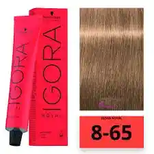 Tinte Igora Royal 8-65 (865) Rubio Claro Chocolate Dorado 8 65