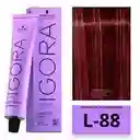 Tinte Igora Royal L88 (l-88) Rojo Intenso L 88