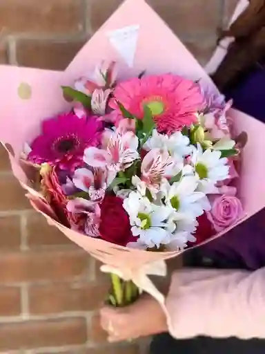 Gerbera Tropical