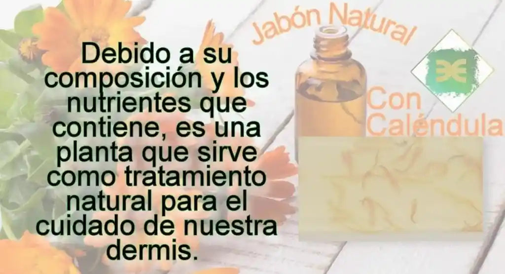 Jabón Natural Caléndula Jojoba