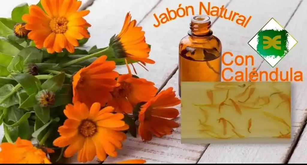 Jabón Natural Caléndula Jojoba