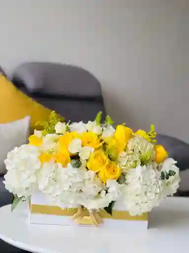 Princesa Amarillo