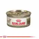 Royal Canin Lata Chihuahua Adulto