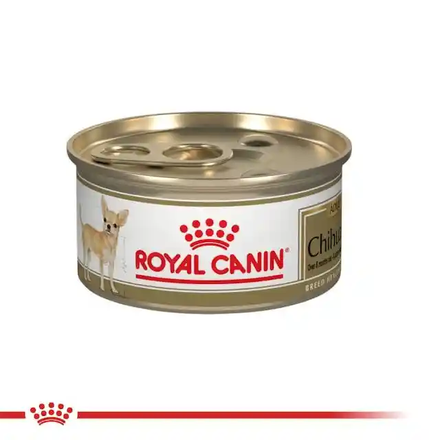 Royal Canin Lata Chihuahua Adulto