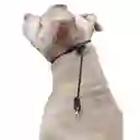 Collar Slinger