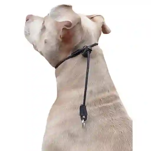 Collar Slinger