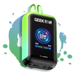 Vape Geek Bar Skyview 25.000 Puffs Miami Mint