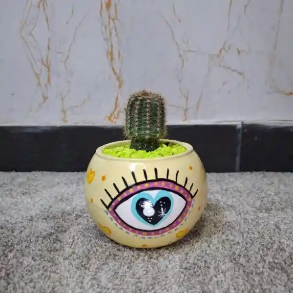 Cerámica De Ojo Cactus