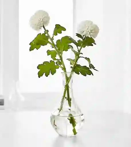 1x Florero Decorativo Jarrón Mesa Ventana Vidrio Transparente Solitario