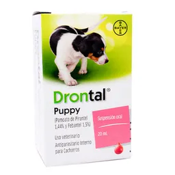 Drontal Antiparasitario Perros Cachorros 20 Ml