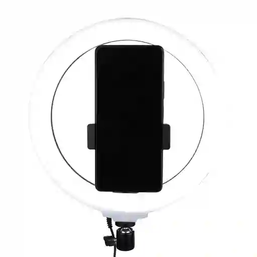 Aro De Luz 26 Cms Led + Tripode 2.1mtrs