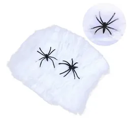 Telaraña Blanca