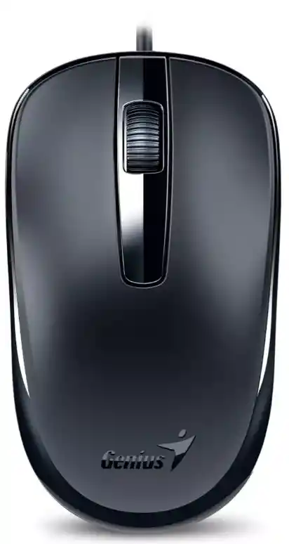 Mouse Genius Dx-120 Calm Black