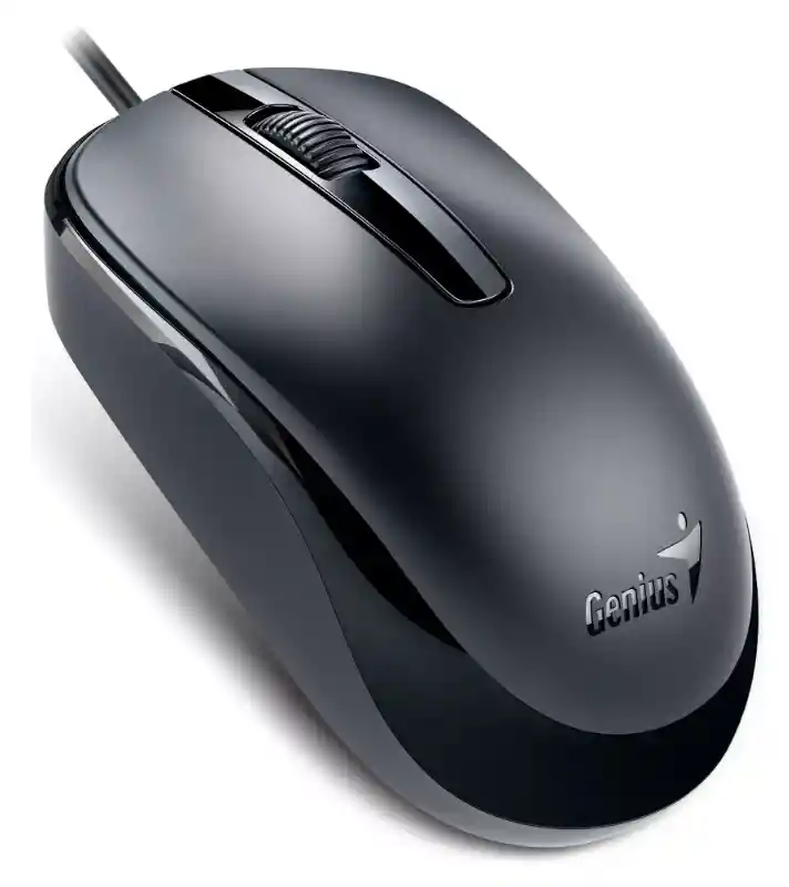 Mouse Genius Dx-120 Calm Black