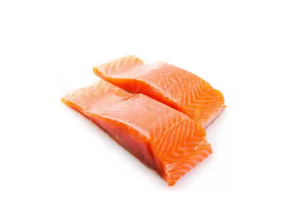 Salmon