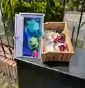 Regalo Caja Monster Inc