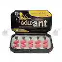 Potenciador Retardante Eyaculación Hormiga Negra (gold Ant) X20 Capsulas - ¡la Revolución Del Placer!