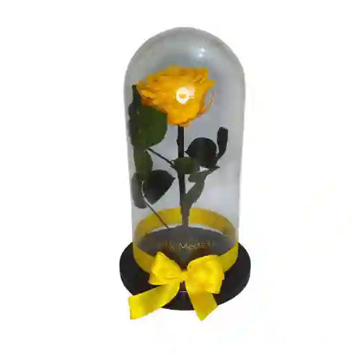 Rosa Preservada Amarilla - Rosa Eterna