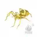 Combo X2 Pildoras Potenciador Retardante Eyaculación Hormiga Negra (gold Ant) - ¡controla Y Sorprende En La Intimidad!