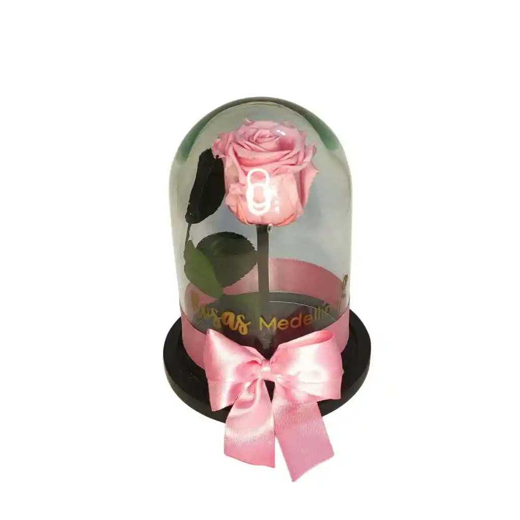 Corazón Con Rosas Y Rosa Preservada Pequeña Rosada- Mediano