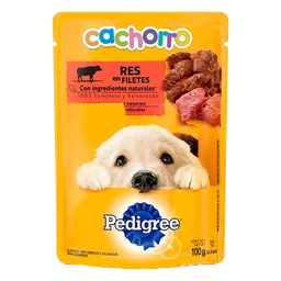 Pedigree Cachorro Carne