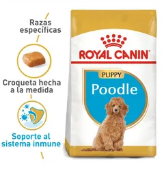 Royal Canin Poodle Puppy 3kg