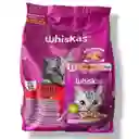 Whiskas Alimento Seco Gato Adulto Sabor Carne 1.5kg + Gratis Sobre Whiskas