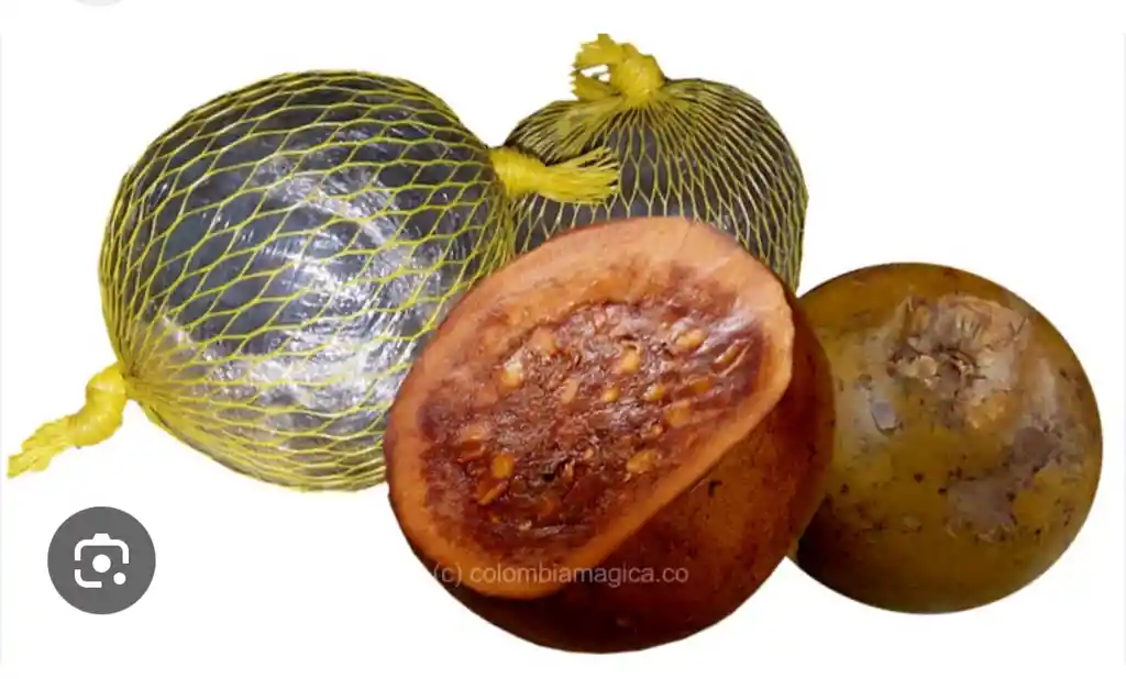 Borojo