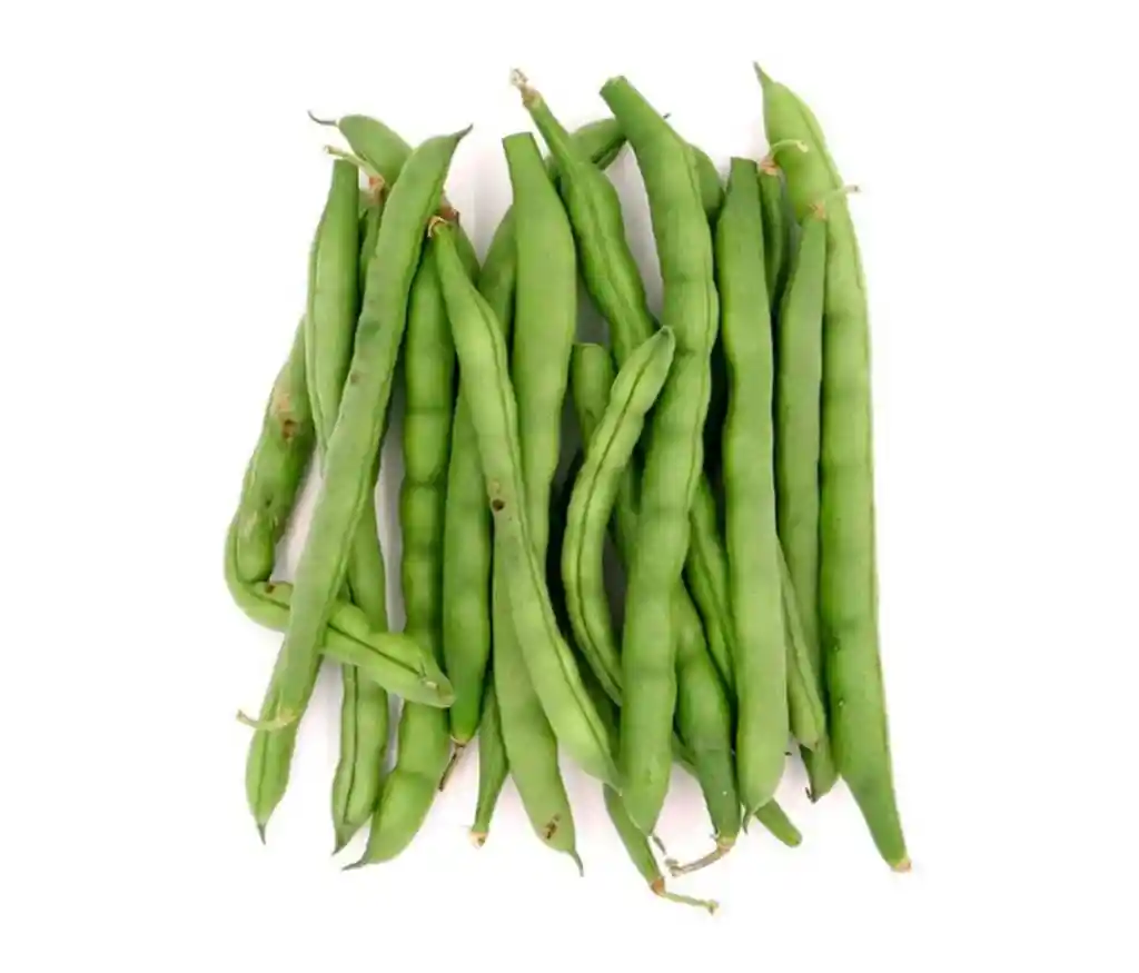 Habichuela