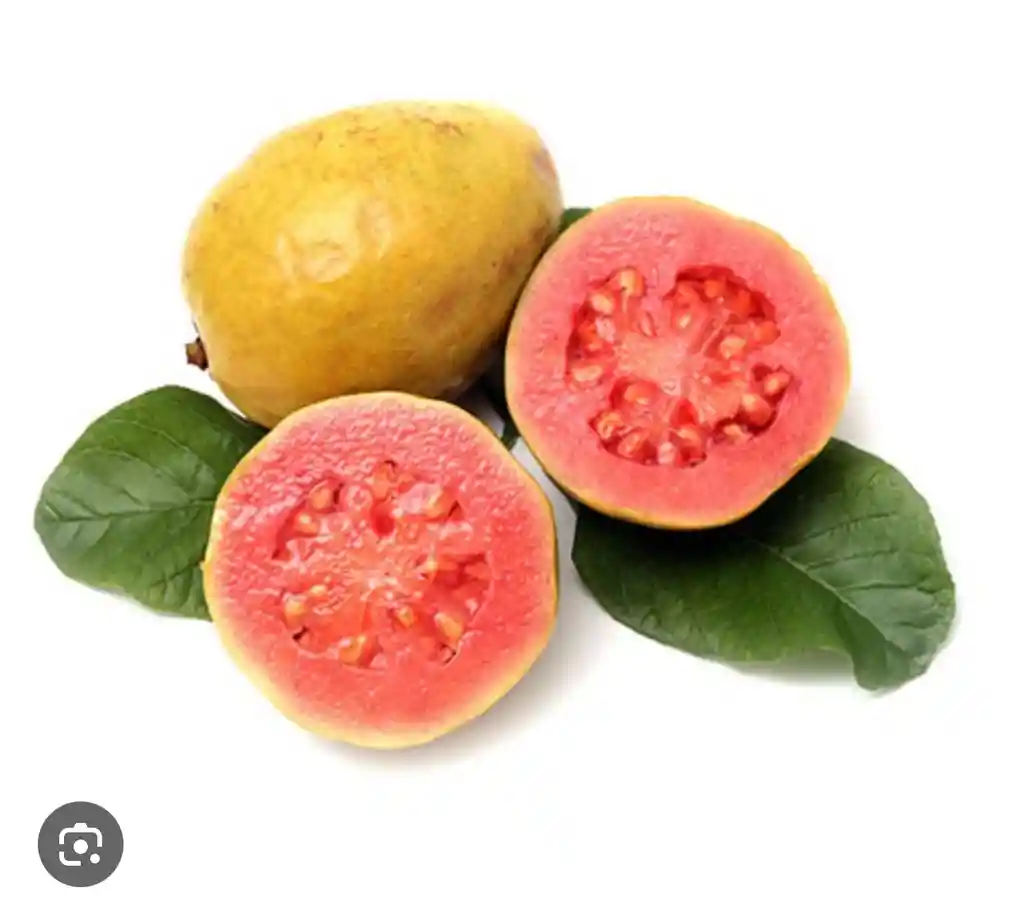 Guayaba