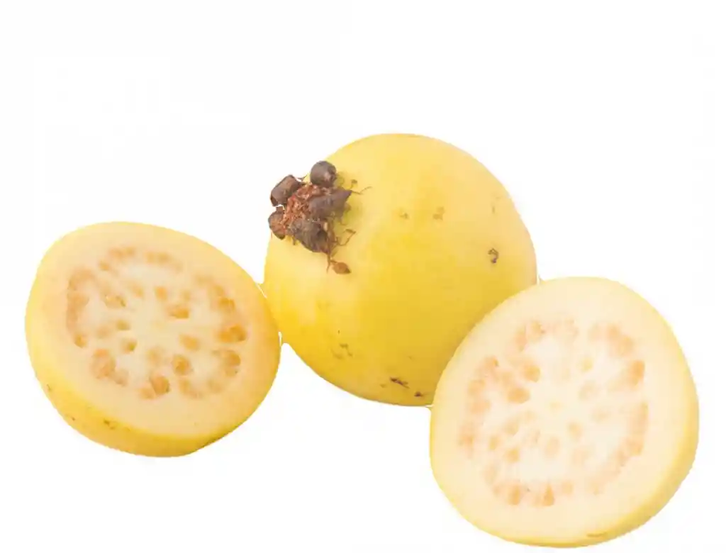 Guayaba Agria