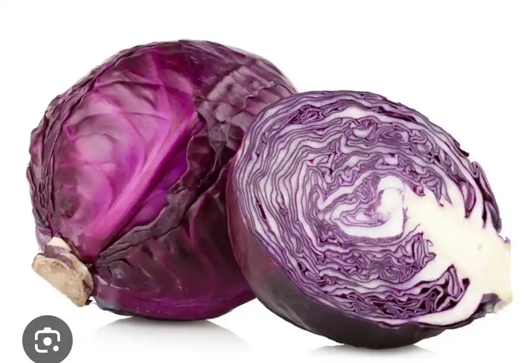 Repollo Morado