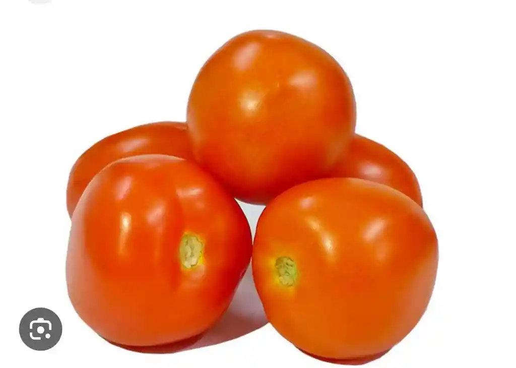 Tomate Chonto