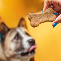 Galletas Para Perro De Hígado De Pollo X 6 Unidades